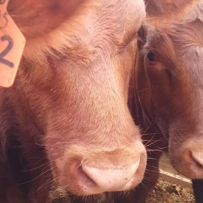 Whatsapp Image 2019 09 18 At 10.15.45 Am 1