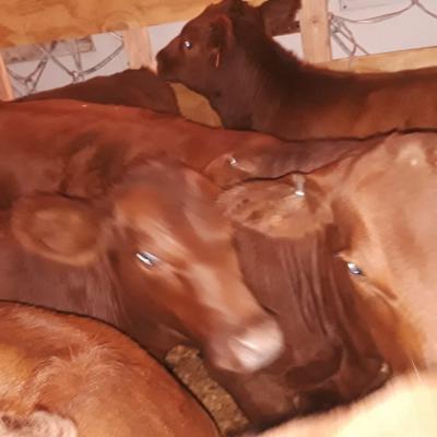 Whatsapp Image 2019 09 18 At 10.15.46 Am 1