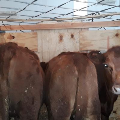 Whatsapp Image 2019 09 18 At 10.15.46 Am 4