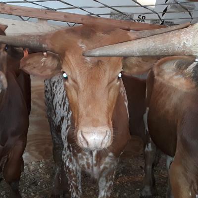 Whatsapp Image 2019 09 18 At 10.15.46 Am 7